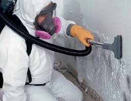 Belton, TX Mold Inspection Company